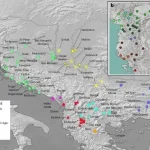 “Studimet mbi ADN e hershme rikonfirmojnë autoktoninë e shqiptarëve”