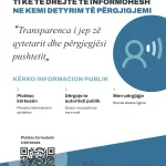 Ditës Ndërkombëtare të së Drejtës për Informim